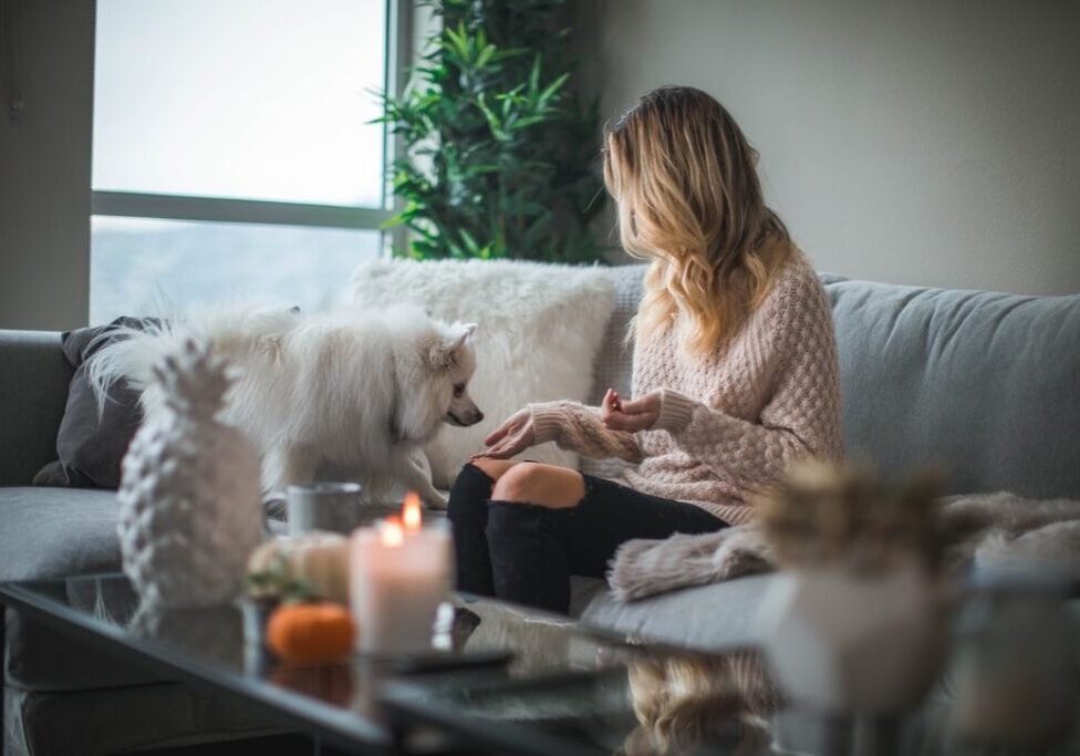 the renovation process should be clear from the beginning